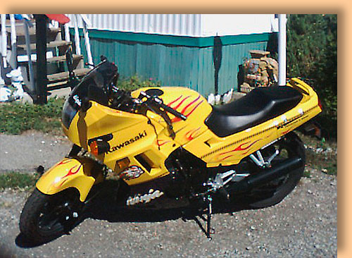 Zoom View